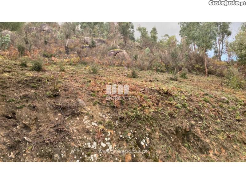 10124m² Land in Marco de Canaveses, Portugal No. 51810