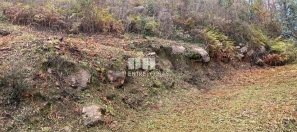 10124m² Land in Marco de Canaveses, Portugal No. 51810 2