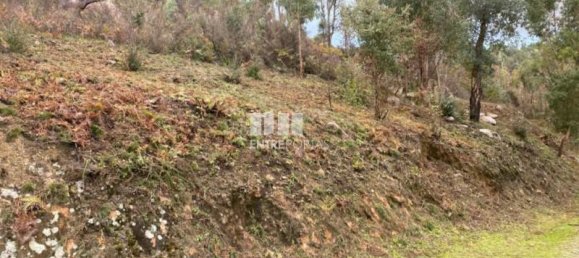 10124m² Land in Marco de Canaveses, Portugal No. 51810 3