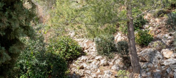 4 bedrooms Villa in Mijas, Spain No. 142025 17