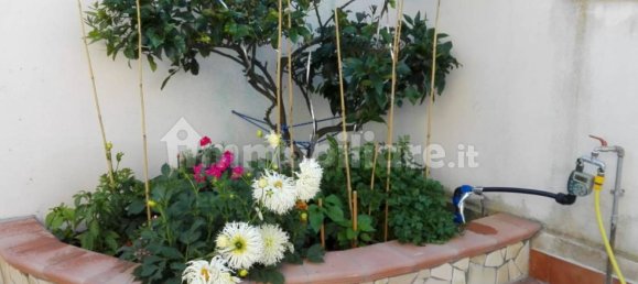1 chambre Appartement à Ardea, Italy No. 200894 17