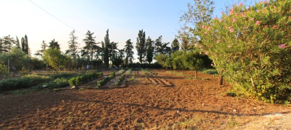 5-salle Villa à Mesagne, Italy No. 298724 34