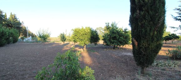 5-salle Villa à Mesagne, Italy No. 298724 35