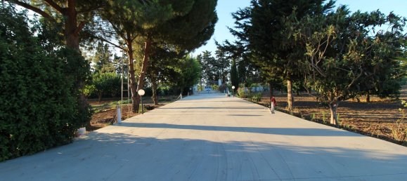 5-salle Villa à Mesagne, Italy No. 298724 31