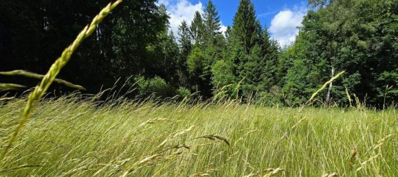  Land in Wenigzell, Austria No. 149091 4