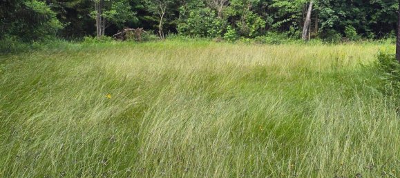  Land in Wenigzell, Austria No. 149091 7