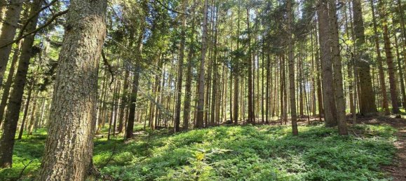  Land in Wenigzell, Austria No. 149091 8