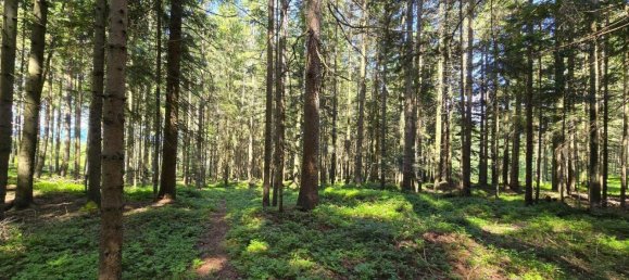  Land in Wenigzell, Austria No. 149091 9