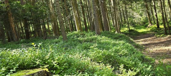  Land in Wenigzell, Austria No. 149091 10