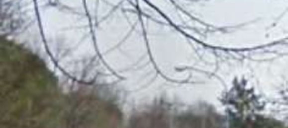 Gewerbliche Immobilie in Mogliano Veneto, Italy 508m², Nr. 301713 8