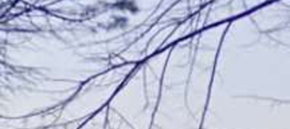 Gewerbliche Immobilie in Mogliano Veneto, Italy 508m², Nr. 301713 10