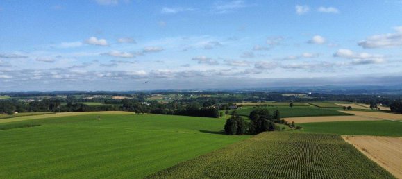 9 rooms House in Lower Austria, Austria No. 198548 30