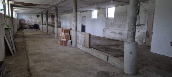 9 rooms House in Lower Austria, Austria No. 198548 14