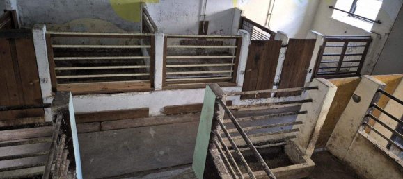 9 rooms House in Lower Austria, Austria No. 198548 12