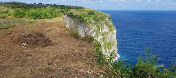 Земельный участок 650м² в Nusa Penida, Индонезия № 4410 2