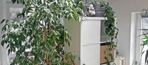 5 Schlafzimmer Stadthaus in Wandsbek, Germany, Nr. 292978 21