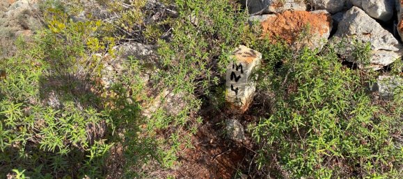  قطعة أرض في Loule, Portugal رقم 51436 2