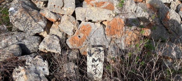  قطعة أرض في Loule, Portugal رقم 51436 9