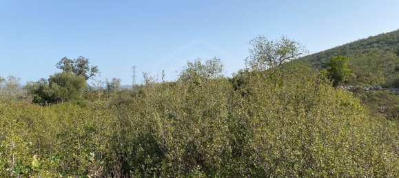  قطعة أرض في Loule, Portugal رقم 51436 7