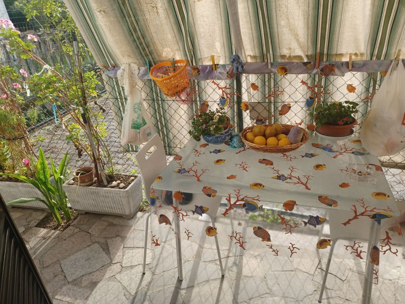 5 bedrooms House in Ameglia, Italy No. 372292