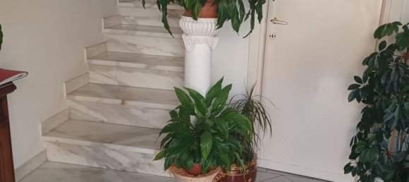 5 bedrooms House in Ameglia, Italy No. 372292 10