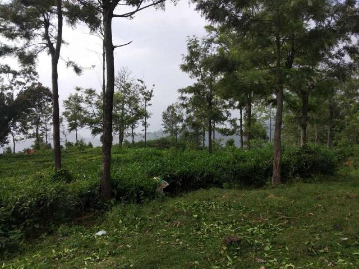  قطعة أرض في Tamil Nadu, India رقم 38565