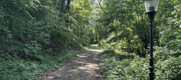 Casa de 7 habitaciónes en Asperhofen, Austria No. 32675 7