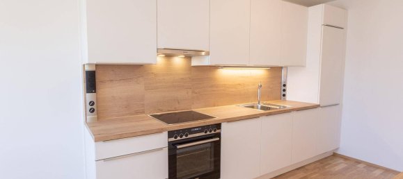 4غرفة شقة في Favoriten, Austria رقم 227047 27