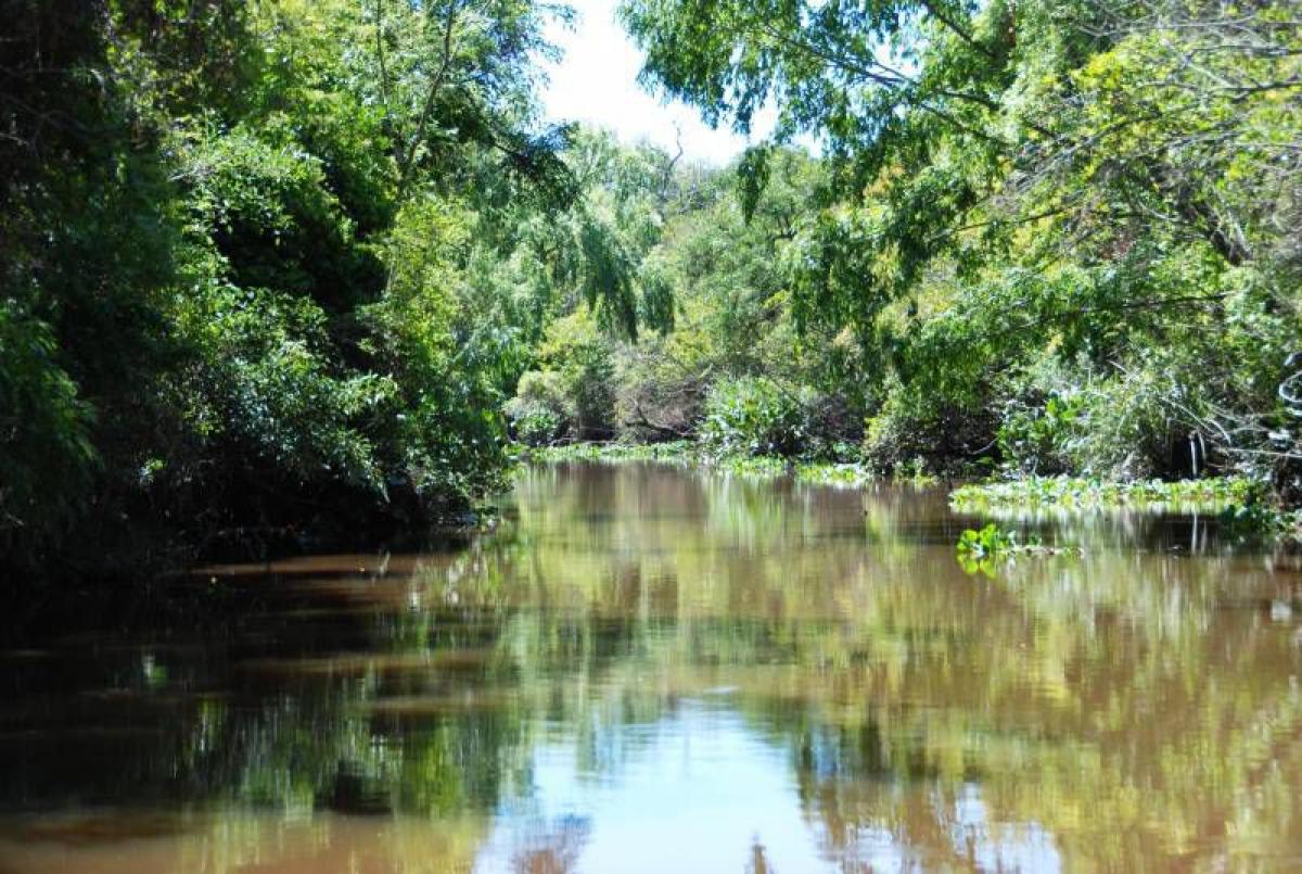 Grundstück in Tigre, Argentina, Nr. 39652