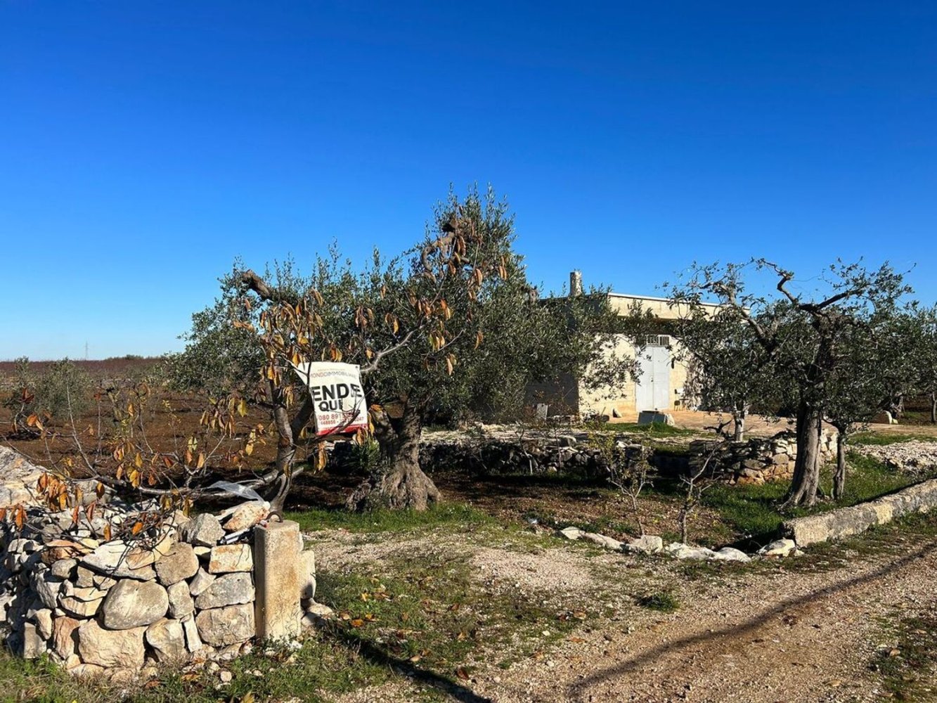 Studio in Turi, Italy No. 85773