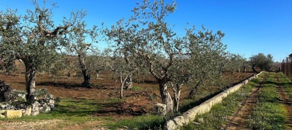 Studio in Turi, Italy No. 85773 14