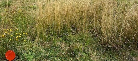 2 Schlafzimmer Grundstück in Vendee, France, Nr. 299890 3