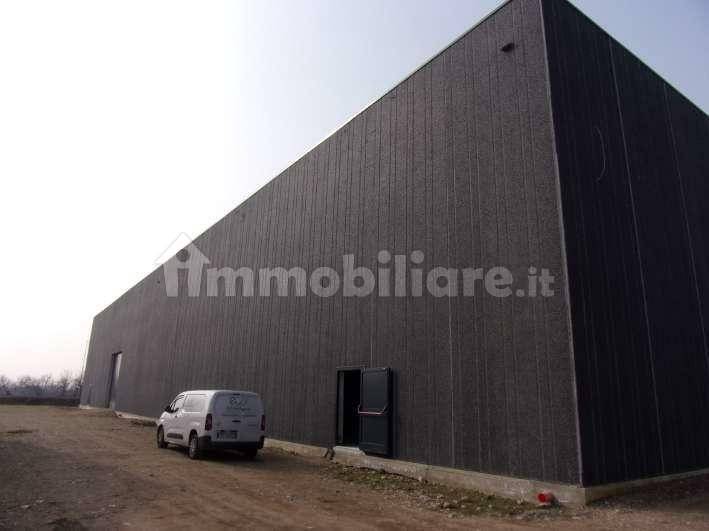 1-salle Entrepôt à Arluno, Italy No. 266594