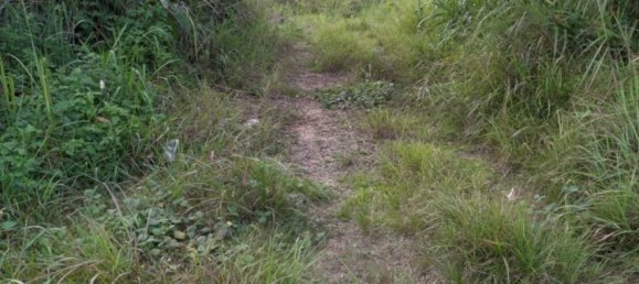  Commercial property in Mae Chan, Thailand No. 14152 3