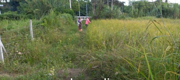  Commercial property in Mae Chan, Thailand No. 14152 5