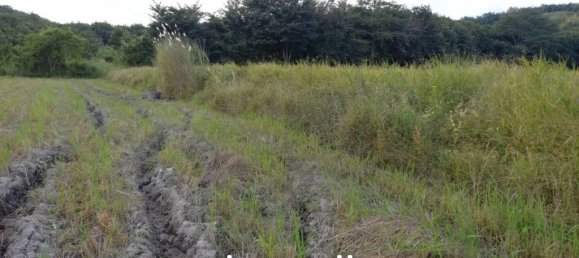  Commercial property in Mae Chan, Thailand No. 14152 4