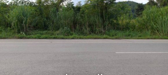  Commercial property in Mae Chan, Thailand No. 14152 7