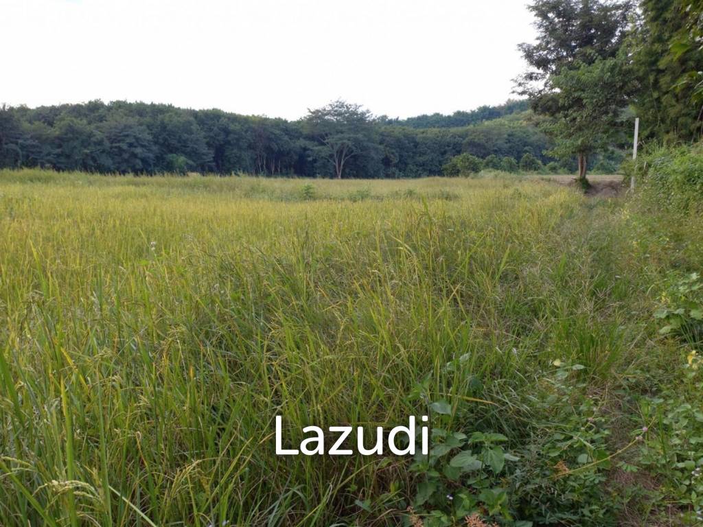  Commercial property in Mae Chan, Thailand No. 14152