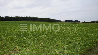 Terrain à Linz, Austria No. 234036