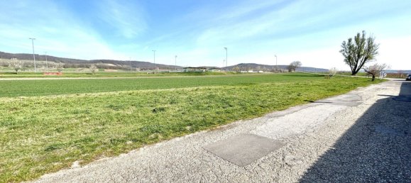 Terreno en Winden am See, Austria No. 21016 3