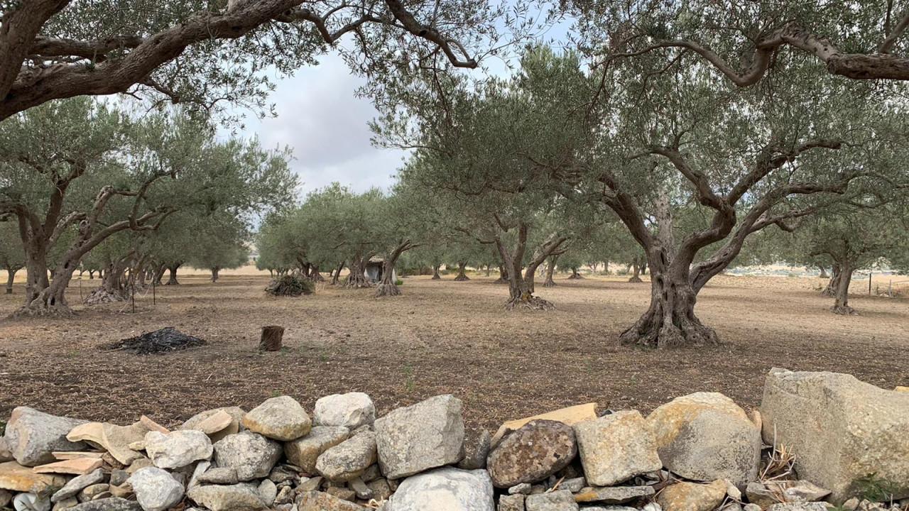 Terreno en Giarratana, Italy 7136 m² No. 235382