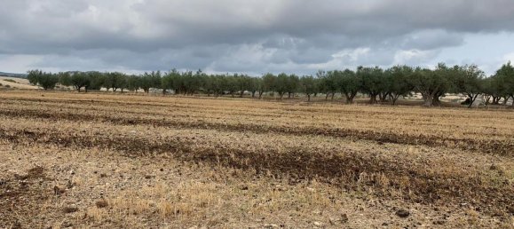 Terreno en Giarratana, Italy 7136 m² No. 235382 7