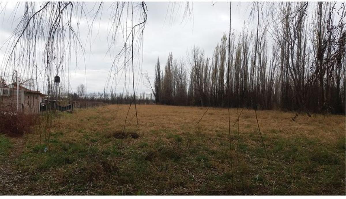 1 Schlafzimmer Grundstück in Rio Negro, Argentina, Nr. 41064
