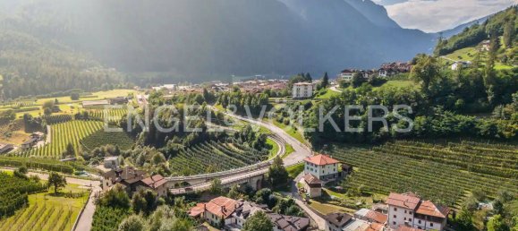 Вилла с 13 спальнями в Мале, Италия № 105568 4