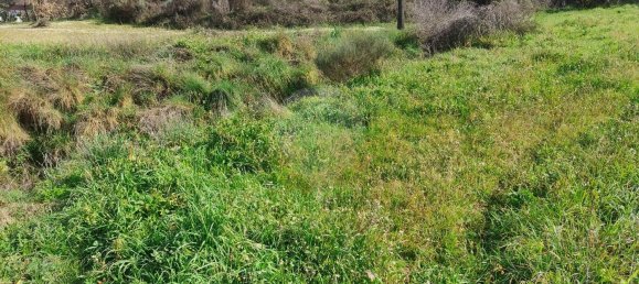 2 غرف نوم منزل في Inguias, Portugal رقم 161888 8