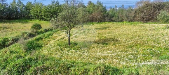 2 غرف نوم منزل في Inguias, Portugal رقم 161888 13