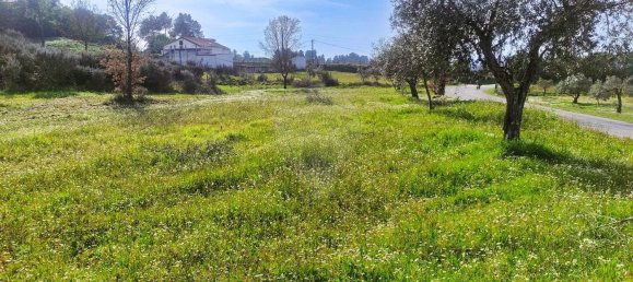 2 غرف نوم منزل في Inguias, Portugal رقم 161888 4