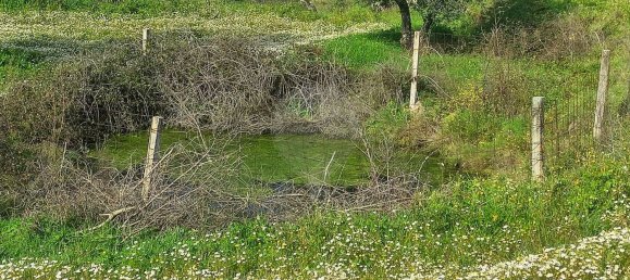 2 غرف نوم منزل في Inguias, Portugal رقم 161888 9