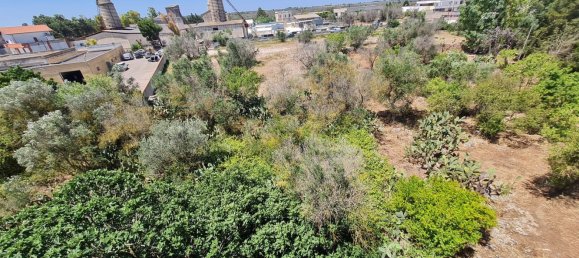 Gebäude in Seclì, Italy 500m², Nr. 152263 37