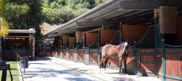 5 bedrooms Villa in Malaga, Spain No. 102943 40